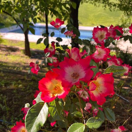 Agriturismo San Fabio Castelnuovo Berardenga Eksteriør bilde