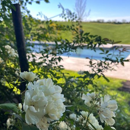 Agriturismo San Fabio Castelnuovo Berardenga Eksteriør bilde