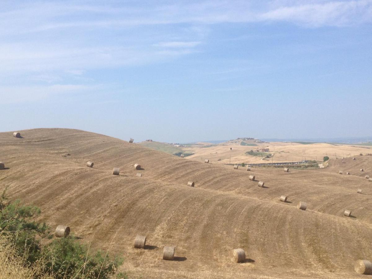 Agriturismo San Fabio Castelnuovo Berardenga Eksteriør bilde